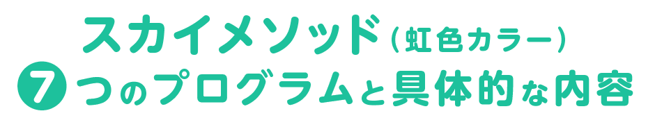 スカイメソッド７つのプログラムと具体的な内容